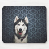 Husky Puppy Posing with a Dark Bakground Mousepad (Vorne)