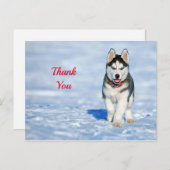 Husky Puppy Snow Foto Vielen Dank Postkarte (Vorne/Hinten)
