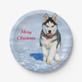 Husky Puppy Snow Foto Weihnachten Pappteller