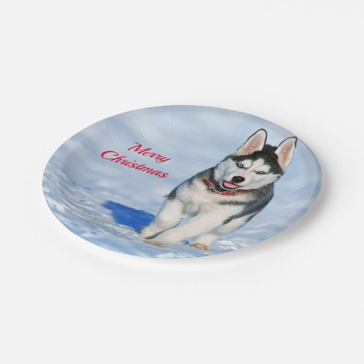 Husky Puppy Snow Foto Weihnachten Pappteller (Schrägansicht)