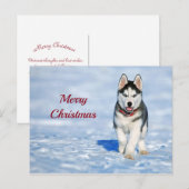 Husky Puppy Snow Foto Weihnachten Postkarte (Vorne/Hinten)