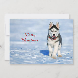 Husky Puppy Snow Foto Weihnachtsflasche Feiertagskarte