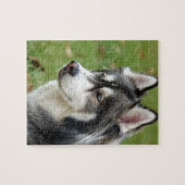 Husky Puzzle (Horizontal)