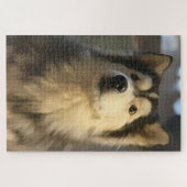 Husky-Puzzlespiel Puzzle (Horizontal)