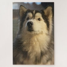 Husky-Puzzlespiel