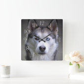 Husky Quadratische Wanduhr (Zuhause)