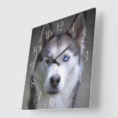 Husky Quadratische Wanduhr (Winkel)