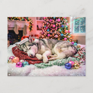 Husky schläft in einer gemütlichen Weihnachtsszene Postkarte