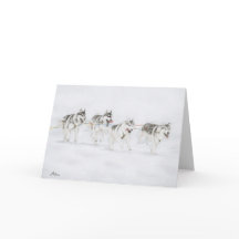 Husky-Schlitten-Hunderennen-Team