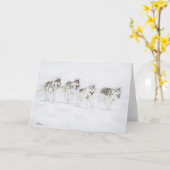 Husky-Schlitten-Hunderennen-Team Karte (Gelbe Blume)
