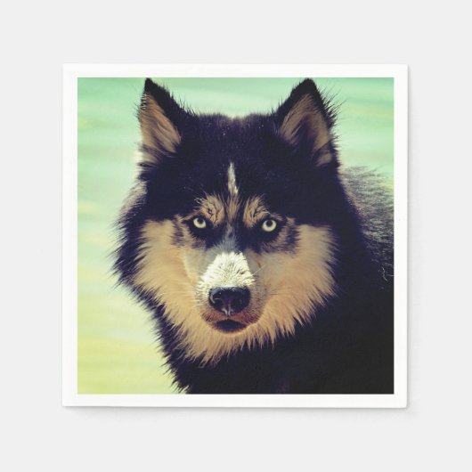 Husky Serviette (Vorderseite)