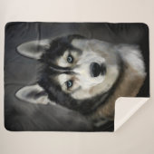 Husky Sherpadecke (Vorderseite (Horizontal))