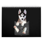 Husky| Siberischer Husky in Pocket Puppy Kalender (Titelbild)