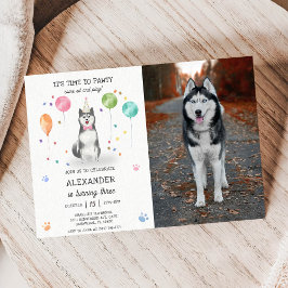 Husky Sibir Dog Pawty Welppy Birthday Pink Foto Einladung