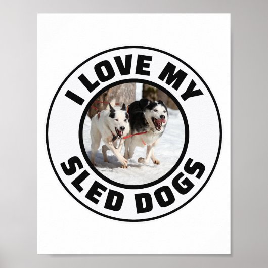 Husky Sledding Schlittenhunde Racing Alaskan Racer Poster (Vorne)