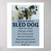 Husky Sledding Schlittenhunde Racing Alaskan Racer Poster (Vorne)