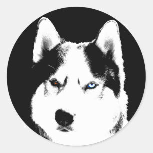 Husky Stickers Siberian Husky Malamute Stickers