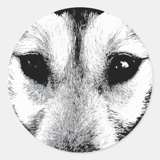 Husky Stickers Siberian Husky Wolf Aufkleber (Vorderseite)