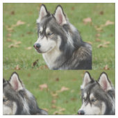 Husky Stoff (Nahaufnahme)