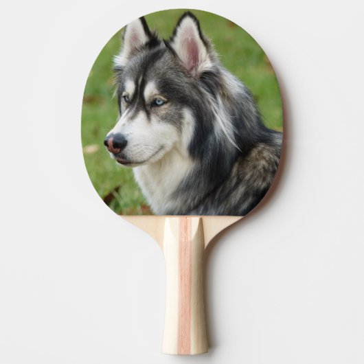 Husky Tischtennis Schläger (Vorderseite)