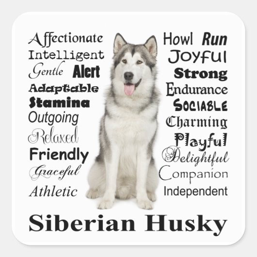 Husky Tracks Stickers (Vorderseite)