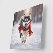 Husky trägt einen roten Winterskarf Quadratische Wanduhr (Winkel)