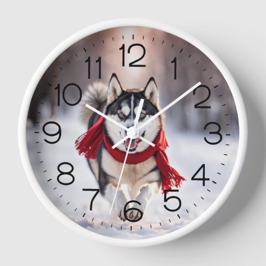 Husky trägt einen roten Winterskarf Uhr (Vorderseite)