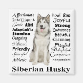 Husky Traits Magnet (Vorne)