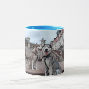 Husky Traumpaar auf der Schloss treppe Lichtenwald Tasse