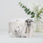 Husky und Mädchen Postkarte (Stehend Vorderseite)