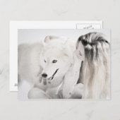 Husky und Mädchen Postkarte (Vorne/Hinten)