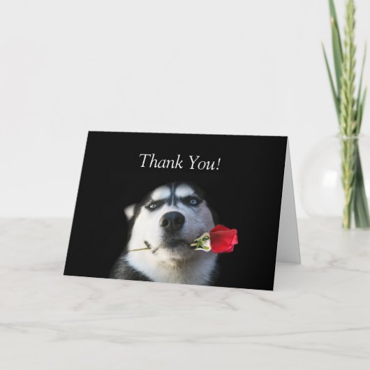 Husky und Rose Dankeschön Card Dankeskarte (Vorderseite)
