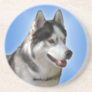Husky Untersetzer Husky Malamute Sled Dog Unterset
