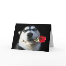 Husky-Valentinstag-Karte
