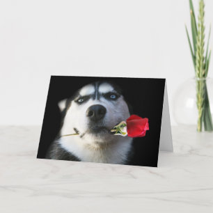 Husky-Valentinstag-Karte Feiertagskarte