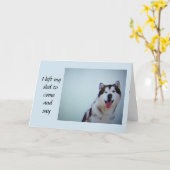 **HUSKY VERLIESS, SEINE SCHULE ZU SAY*** **GLÜCKLI KARTE (Gelbe Blume)