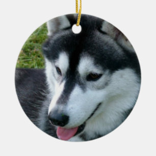 Husky-Verzierung Keramik Ornament