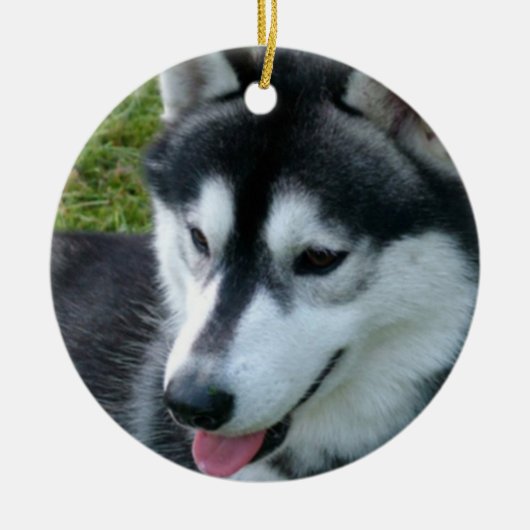 Husky-Verzierung Keramik Ornament (Vorne)