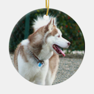 Husky-Verzierung Keramik Ornament