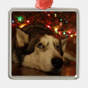 Husky-Verzierung Ornament Aus Metall