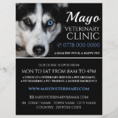 Husky, Veterinär, Veterinärdienst Flyer (Vorne)