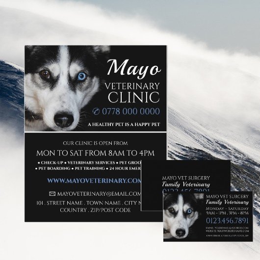 Husky, Veterinär, Veterinärdienst Flyer