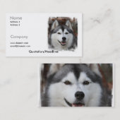 Husky-Visitenkarte Visitenkarte (Vorne/Hinten)