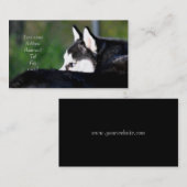 Husky-Visitenkarten Visitenkarte (Vorne/Hinten)