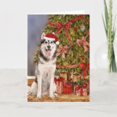 Husky Watercolor unter dem Weihnachtsbaum Karte (Vorderseite)