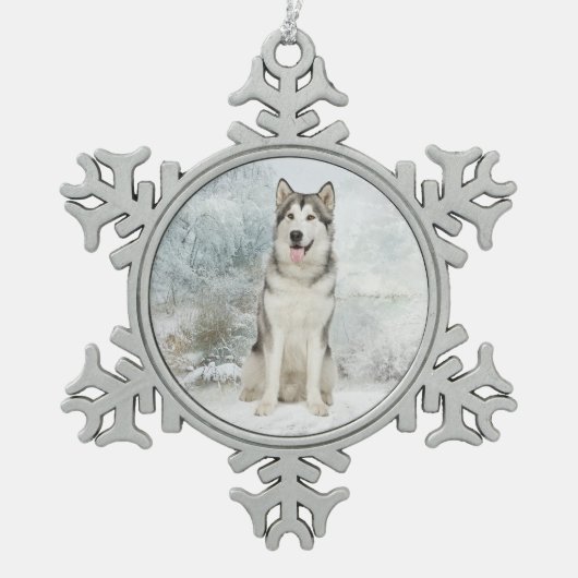 Husky Weihnachtsschmuck Schneeflocken Zinn-Ornament (Vorderseite)