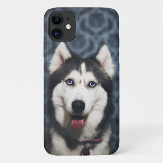 Husky Welpe Pop mit dunklem Background Case-Mate iPhone Hülle (Rückseite)