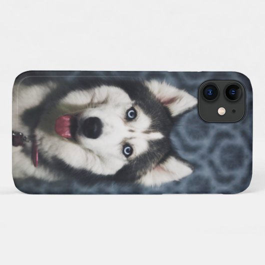 Husky Welpe Pop mit dunklem Background Case-Mate iPhone Hülle (Rückseite (Horizontal))