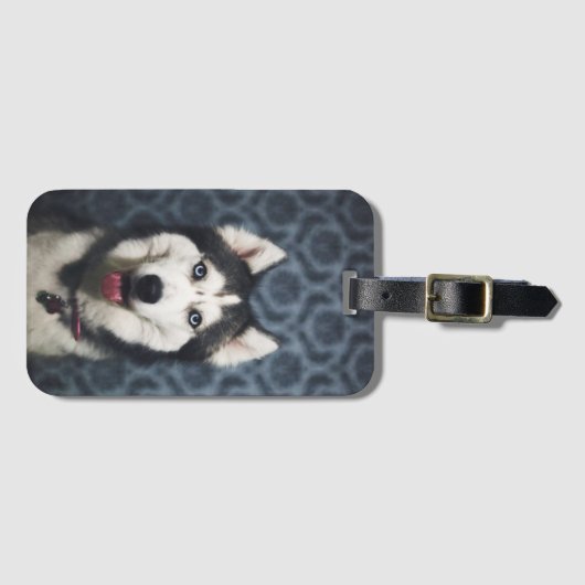 Husky Welpe Pop mit dunklem Background Gepäckanhänger (Vorderseite (Horizontal))