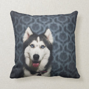 Husky Welpe Pop mit dunklem Background Kissen